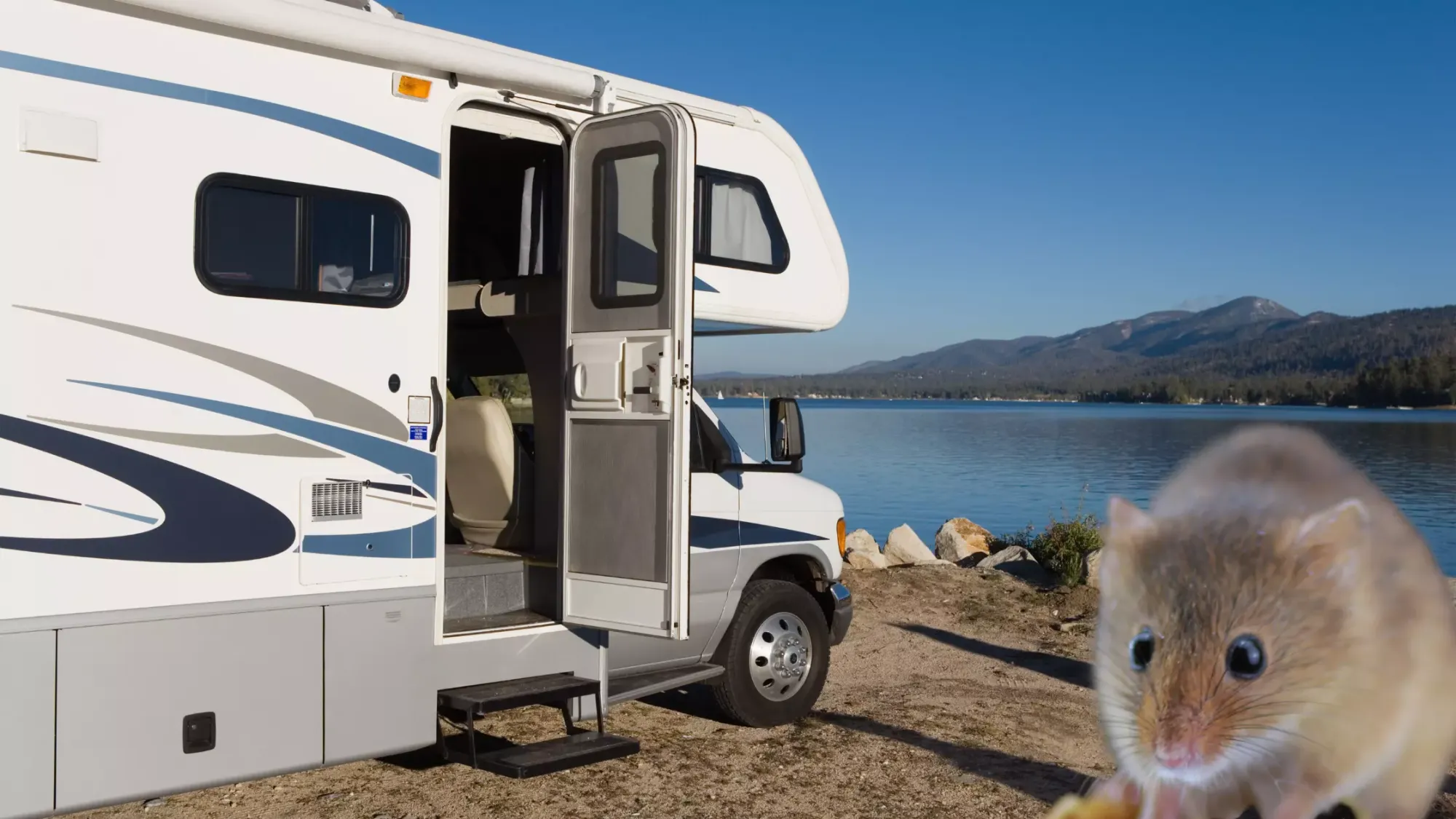 Keeping Mice of Out Your RV During Storage