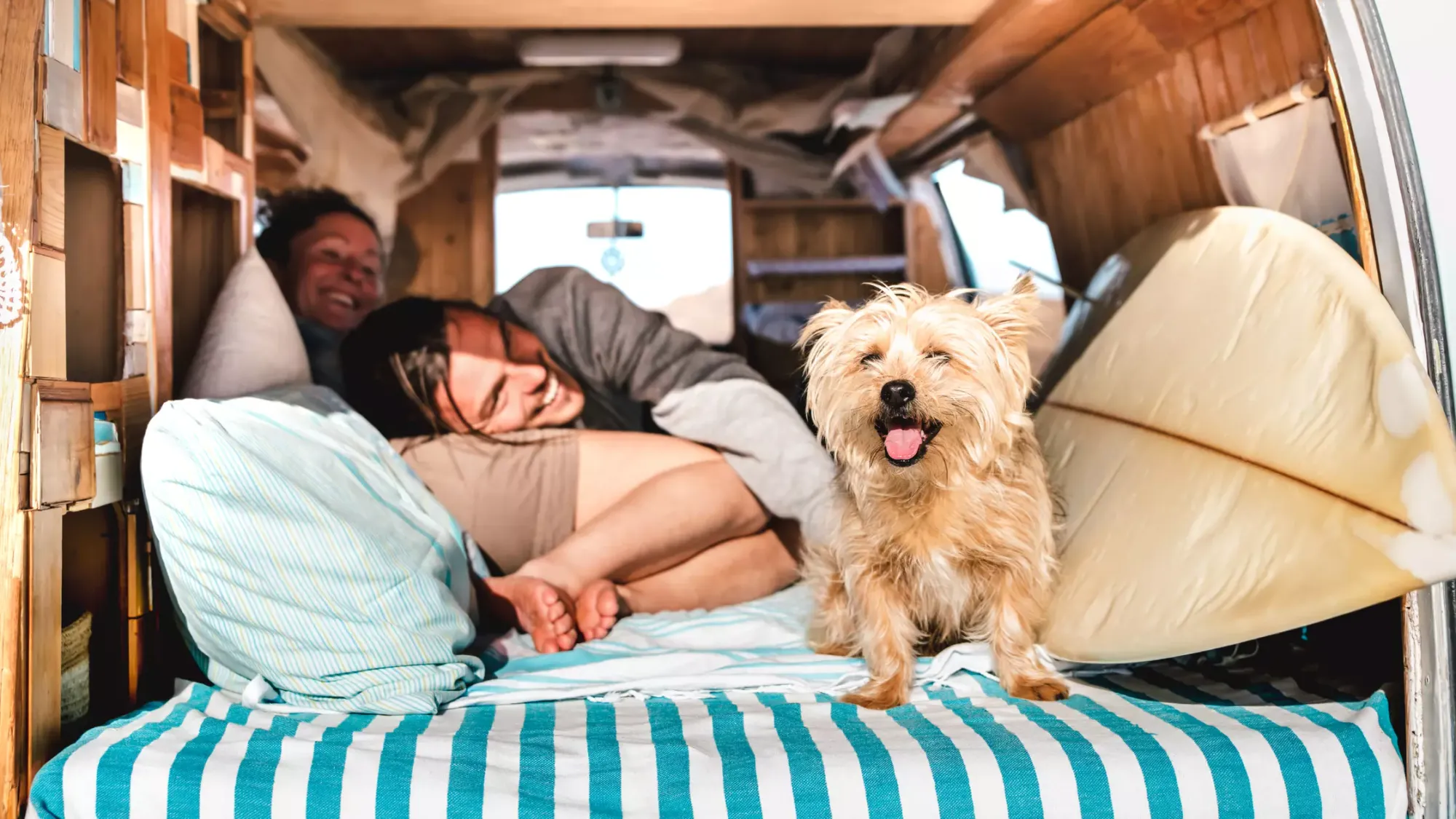 Hitting the Road with Rover: A Camper's Guide to RV Travel with Dogs